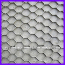 410S Tortoise sheel net with high quality supplier